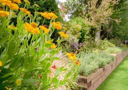 seasonal gardening