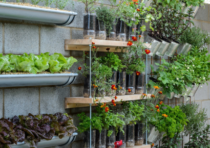 balcony gardening