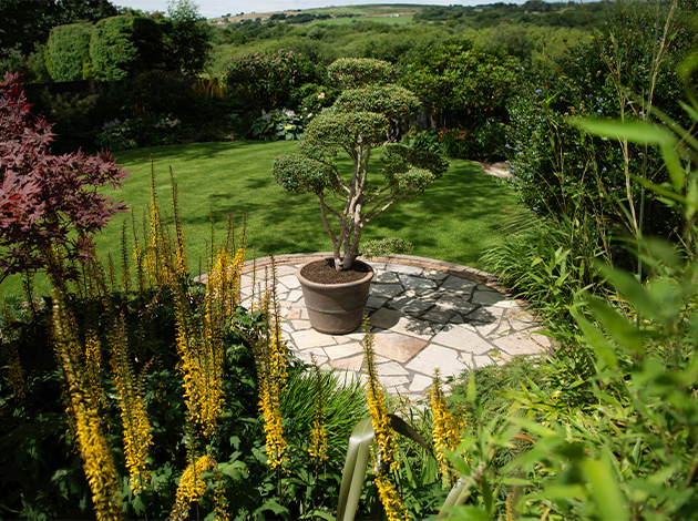 garden-design-heaton-2